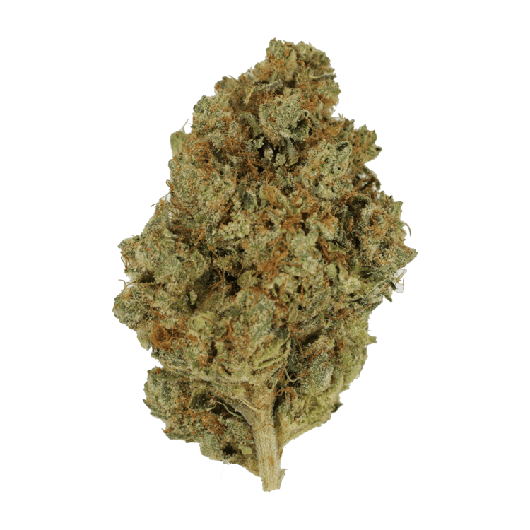 Nepalese | BC Weed Edible Canada