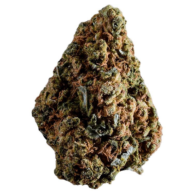 Grapefruit Haze | BC Weed Edible Canada