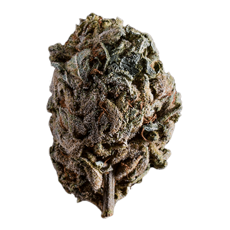 Purple Candy | BC Weed Edible Canada