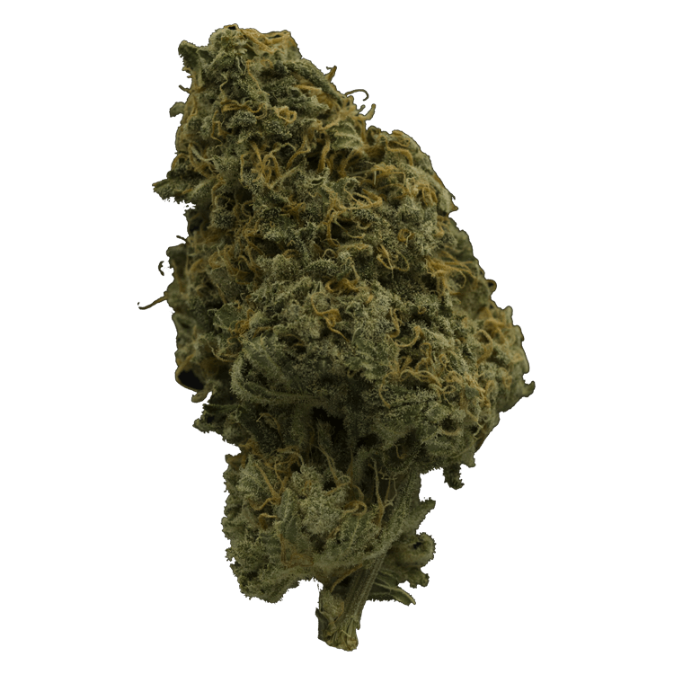 Chiesel | BC Weed Edible Canada