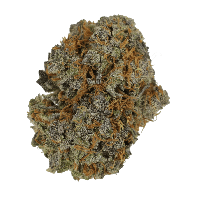 Jack Herer 1 Ounce | BC Weed Edible Canada