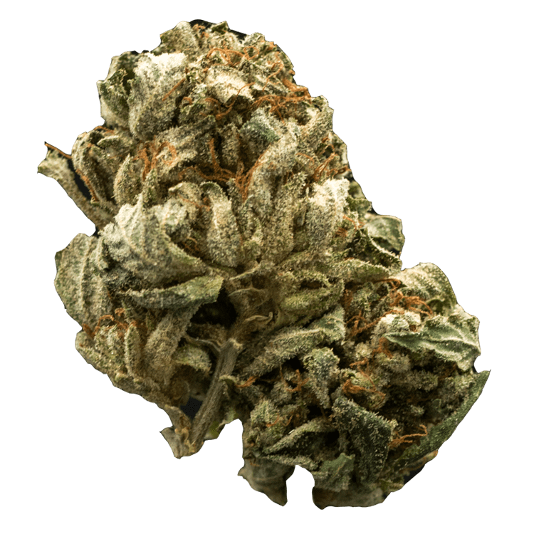 Chemdog | BC Weed Edible Canada