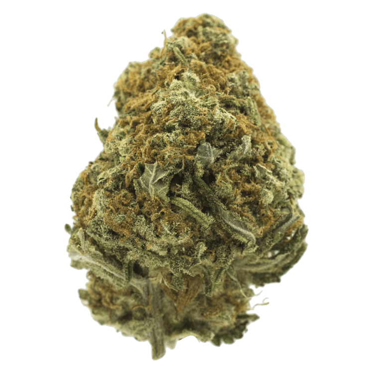 Cappuccino 420 | BC Weed Edible Canada