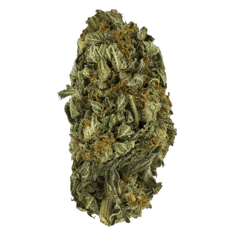 Nebula | BC Weed Edible Canada