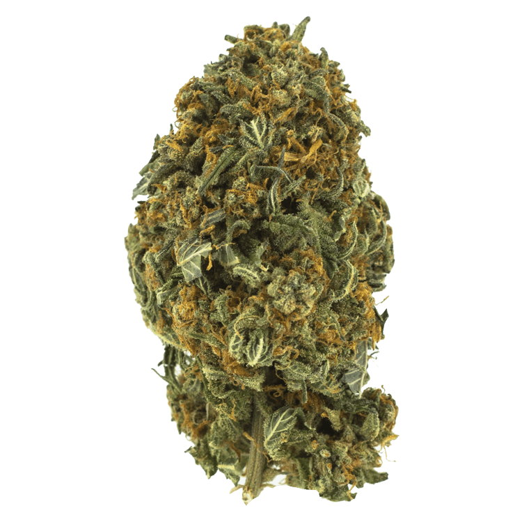 Night Nurse – 1 ounce | BC Weed Edible Canada