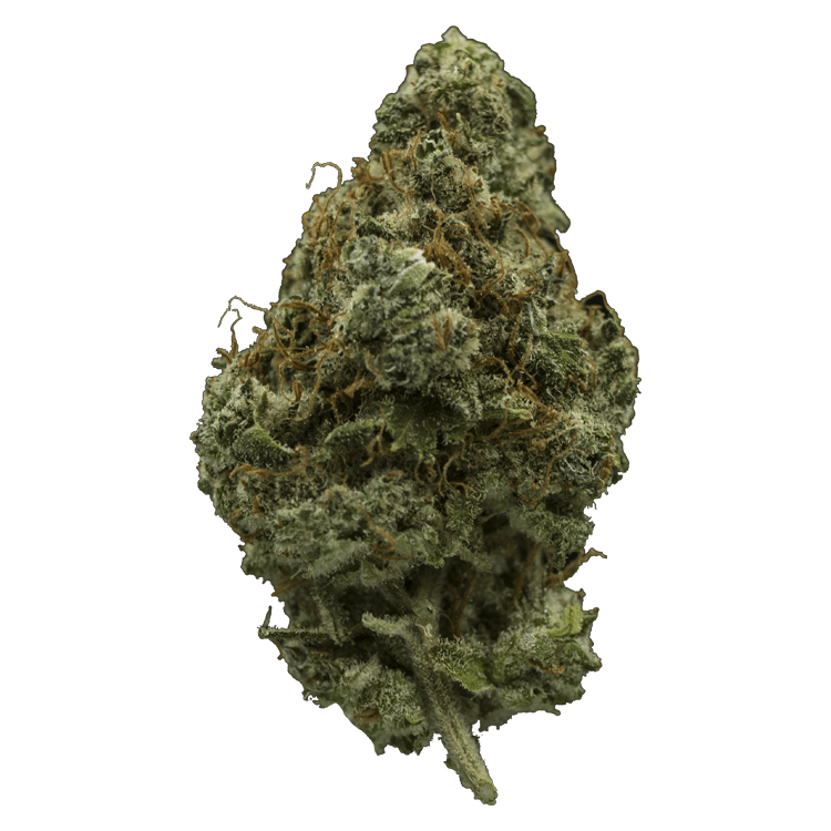 El Fuego | BC Weed Edible Canada