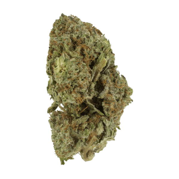 Gelato Sorbet – 1 ounce | BC Weed Edible Canada