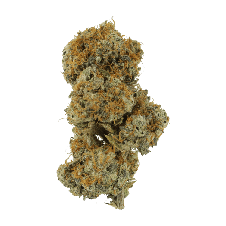 Stripper Spit | BC Weed Edible Canada