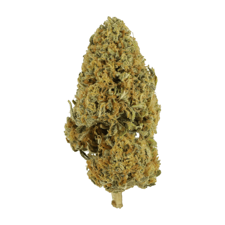 Grapefruit – 1 ounce | BC Weed Edible Canada