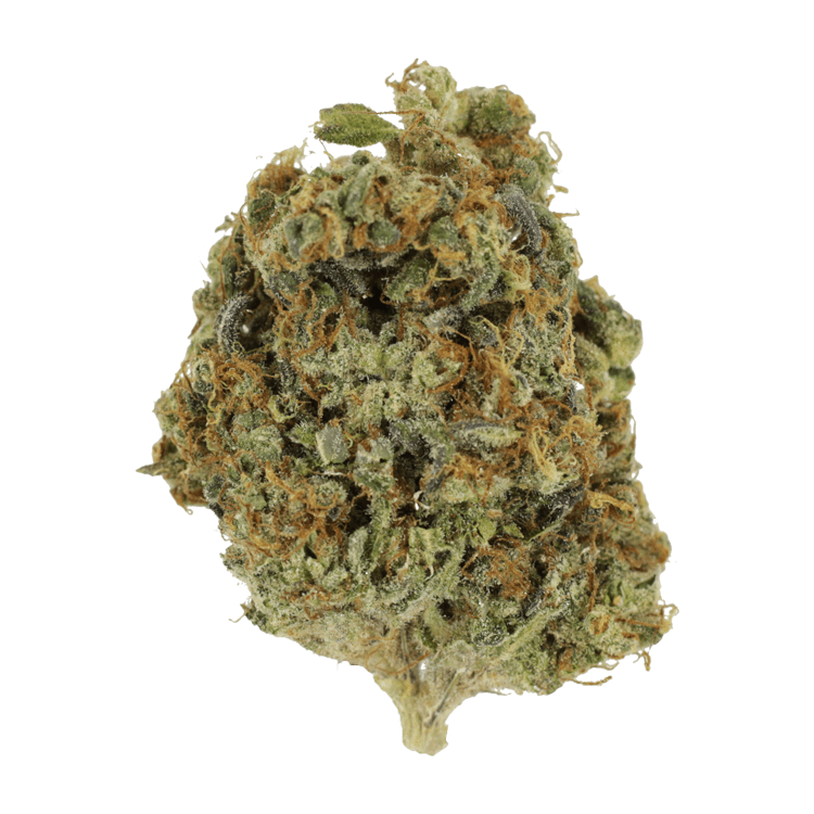 Sunset Sherbert | BC Weed Edible Canada