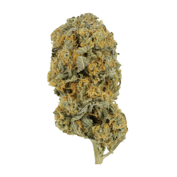 Sour Prince | BC Weed Edible Canada