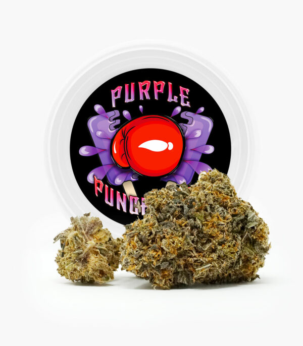 Westcoast Cali Tins – Premium Flower – Purple Punchsicle – 14g | BC Weed Edible Canada