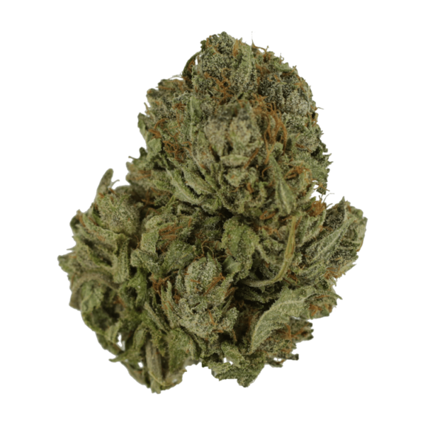 Salt Pot – Corn Nuts – 250mg THC | BC Weed Edible Canada