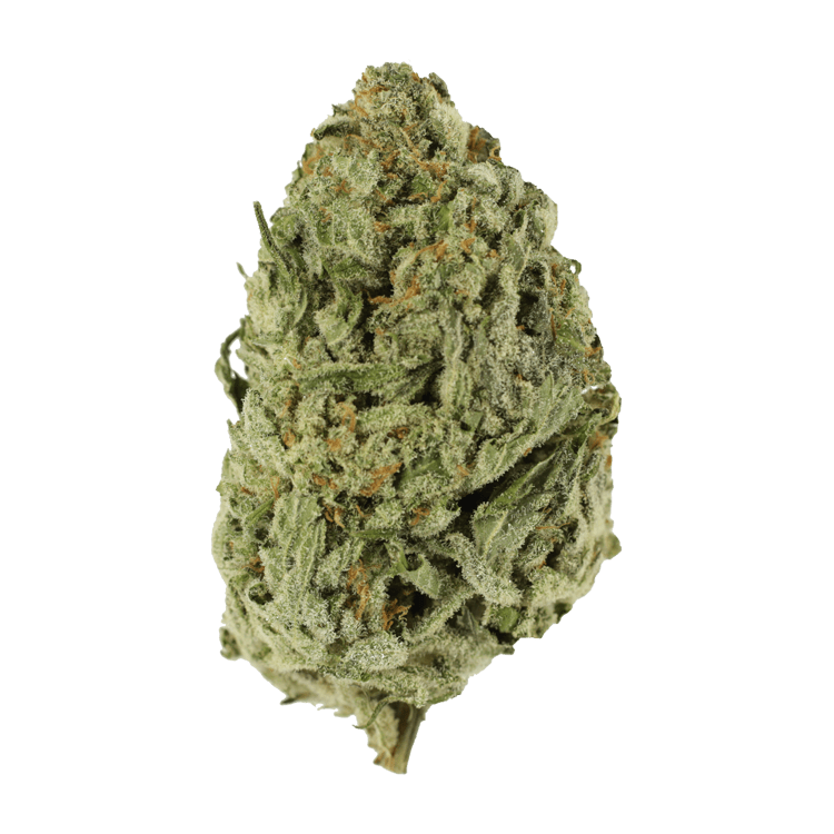 Lemon Meringue 1 Ounce | BC Weed Edible Canada