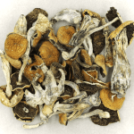 Full Moon Party | Magic Mushrooms Kitchener-Waterloo Canada