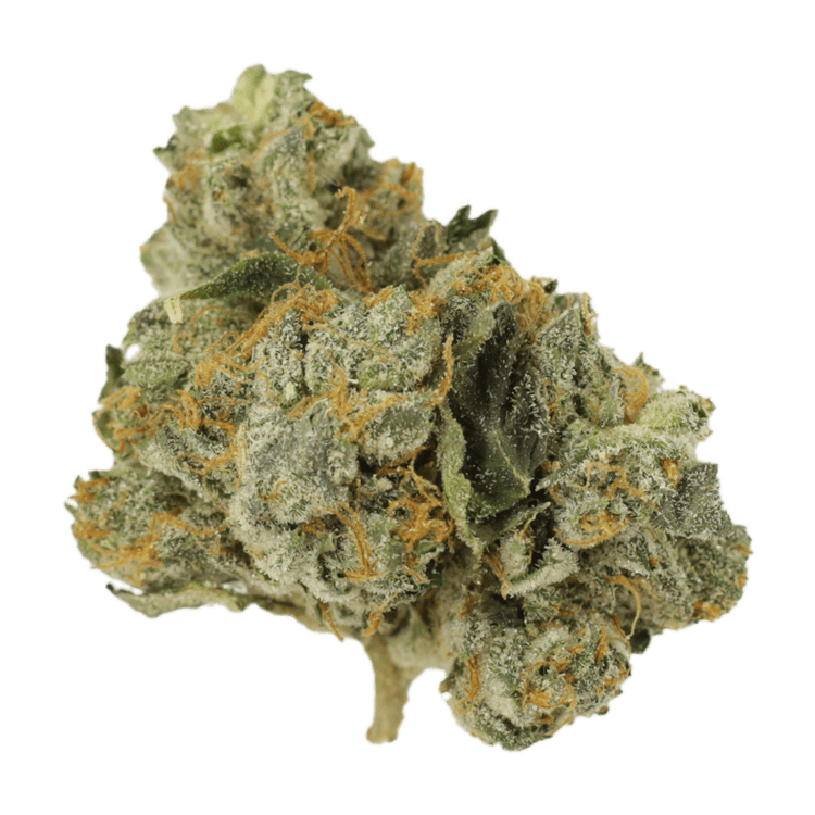 Mango Cream | BC Weed Edible Canada