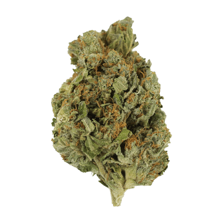 Mango Cream | BC Weed Edible Canada