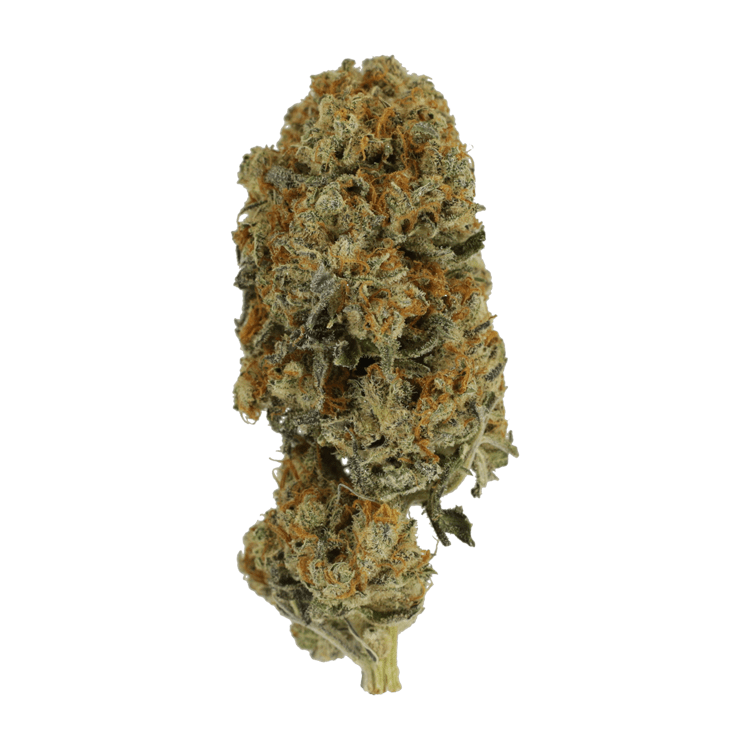 Jacks Girl | BC Weed Edible Canada