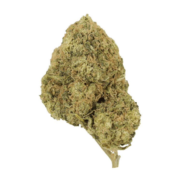 Laughing Buddha | BC Weed Edible Canada