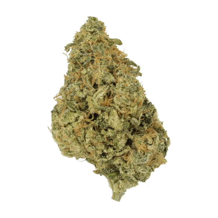 OG Lemon Haze | BC Weed Edible Canada