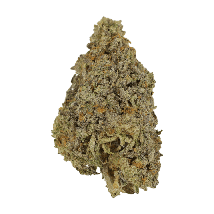 Frosty Gelato | BC Weed Edible Canada