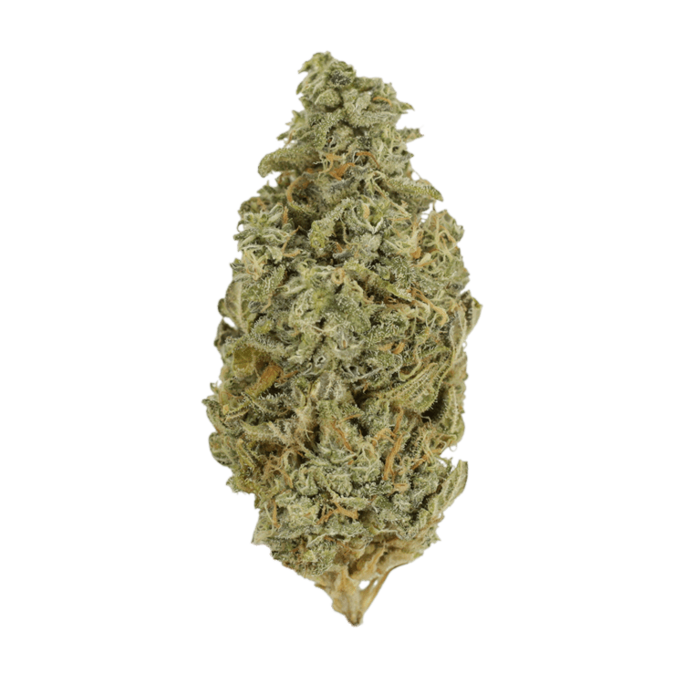 Orange Cookies | BC Weed Edible Canada