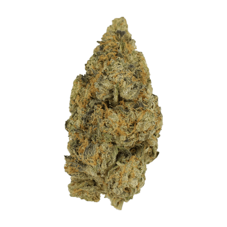 Citrus Funk | BC Weed Edible Canada