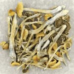 Trinity | Magic Mushrooms Kitchener-Waterloo Canada