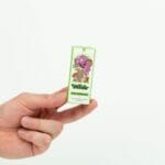 Wonder – Psilocybin Chocolate Bar – Dark Chocolate | Magic Mushrooms Kitchener-Waterloo Canada