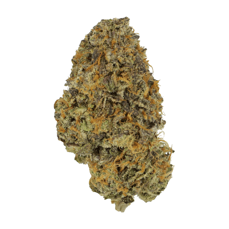 Blackberry Nightmare | BC Weed Edible Canada