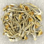 Hautla | Magic Mushrooms Kitchener-Waterloo Canada
