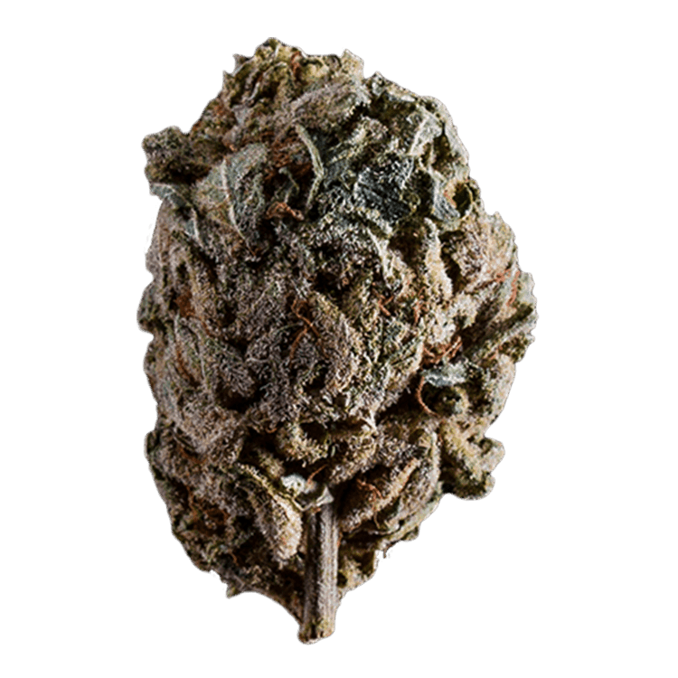 Emergen C | BC Weed Edible Canada