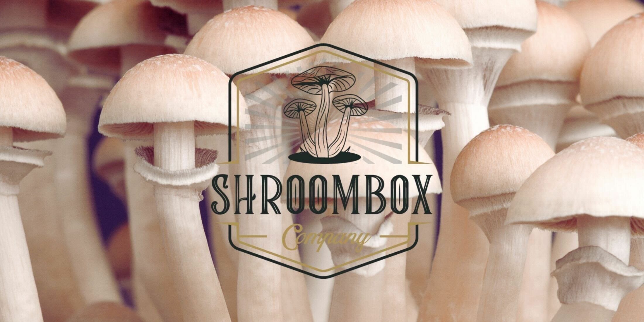 Shroom Box logo | Magic Mushrooms Kitchener-Waterloo Canada
