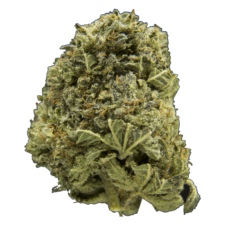 Cookies Kush | BC Weed Edible Canada